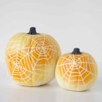 spider-web-pumpkin-beauty-1-1014_vert