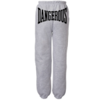 Ariana Grande celebrity tour merch Dangerous grey sweatpants