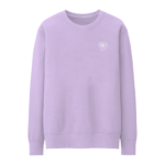 Ariana Grande celebrity tour merch Break up with your gf crewneck