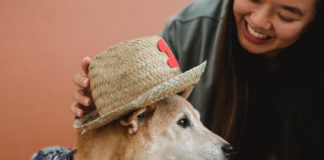 woman-dress-your-pet