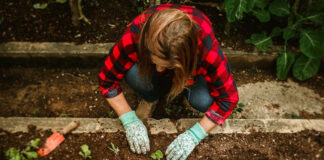 composting woman