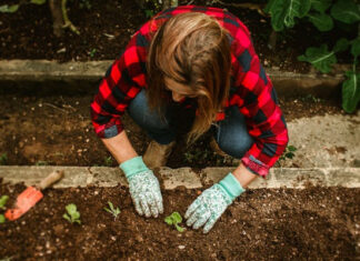 composting woman