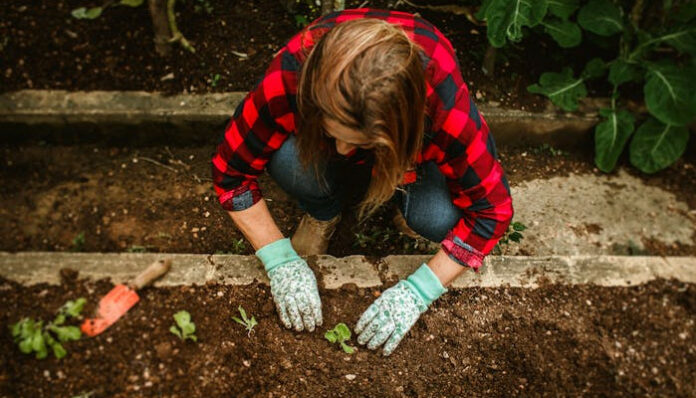 composting woman