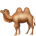 camel