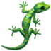 gecko